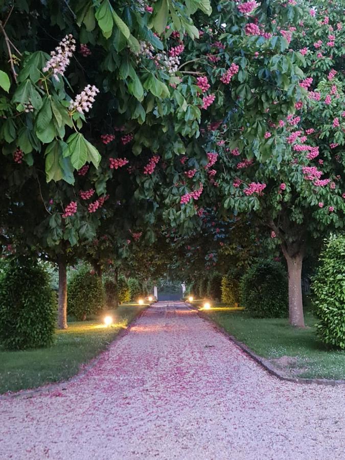 Готель Le Manoir Des Marronniers Sully  Екстер'єр фото